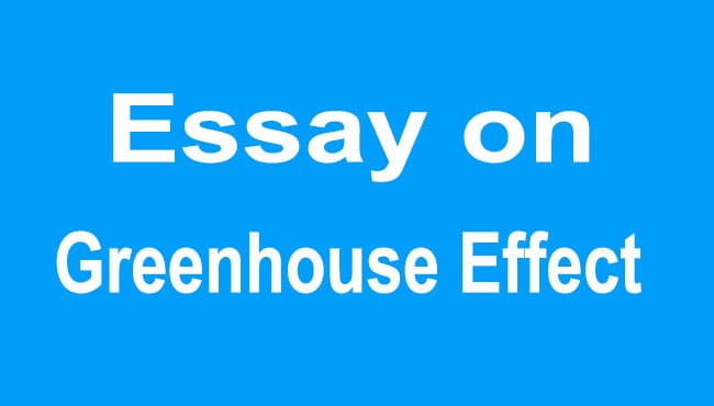 Greenhouse Effect Essay
