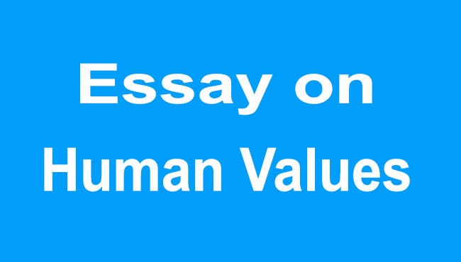 Essay on Human Values