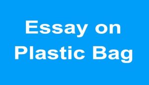 Plastic Bag Essay