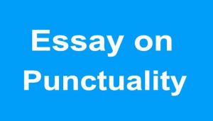 Essay on Punctuality
