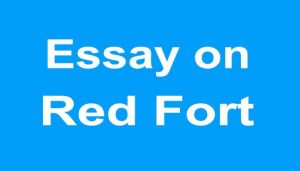 Essay on Red Fort