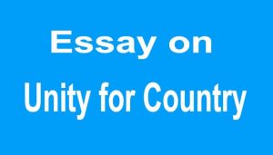 Essay on Unity for Country