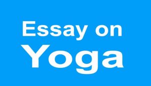 Essay on Yoga