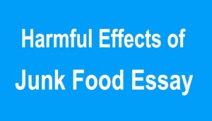 Harmful Effects of Junk Food Essay