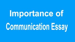 Importance of Communication Essay