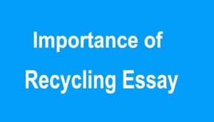 Importance of Recycling Essay