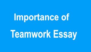 Importance of Teamwork Essay