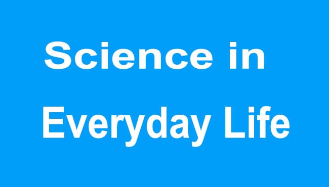 Science in Everyday Life Essay