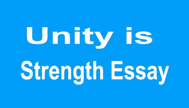 Unity is Strength Essay