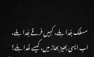 Poetry in Urdu Text