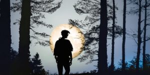 Trails Carolina Horror