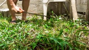 Mexican Lawnmower
