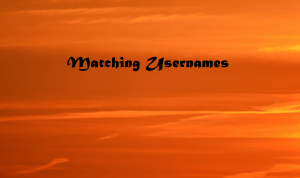 Matching Usernames for Best Friends