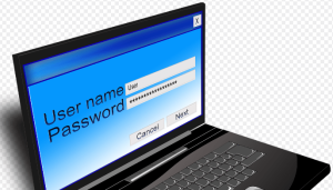 One Word Usernames